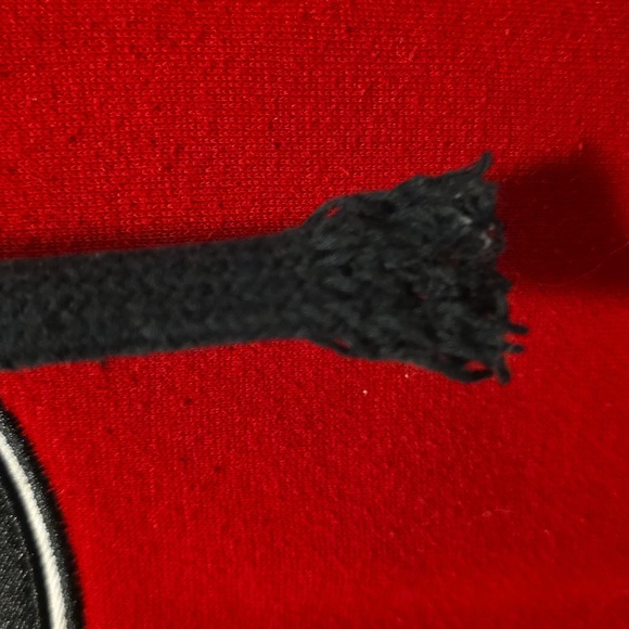 Georgia Red Men's Hoodie - Picture 4 of 5